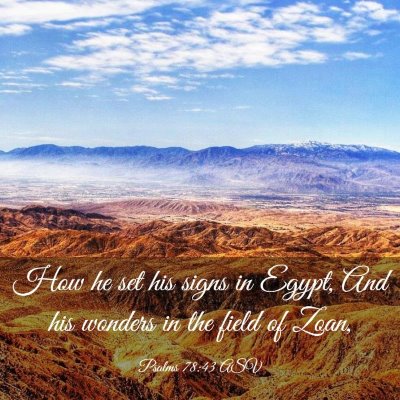 Picture 03 - Psalms 78:43 ASV - How he set his signs in Egypt, And his wonders in - Bible Verse Picture