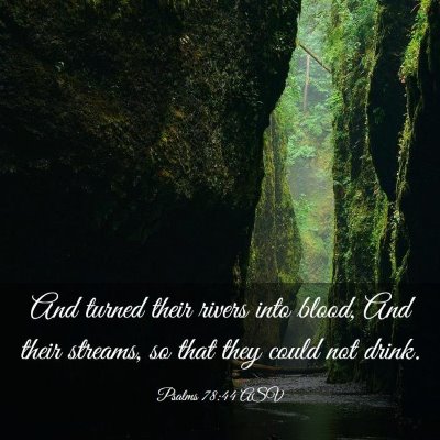 Picture 03 - Psalms 78:44 ASV - And turned their rivers into blood, And their - Bible Verse Picture