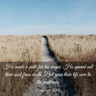 Picture 03 - Psalms 78:50 ASV - He made a path for his anger; He spared not their - Bible Verse Picture