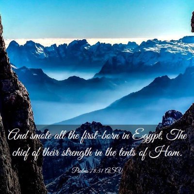 Picture 03 - Psalms 78:51 ASV - And smote all the first-born in Egypt, The chief - Bible Verse Picture