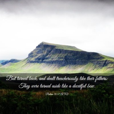 Picture 03 - Psalms 78:57 ASV - But turned back, and dealt treacherously like - Bible Verse Picture