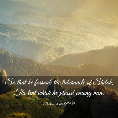 Picture 03 - Psalms 78:60 ASV - So that he forsook the tabernacle of Shiloh, The - Bible Verse Picture