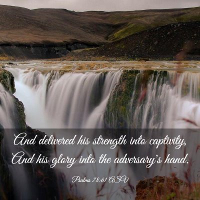 Picture 03 - Psalms 78:61 ASV - And delivered his strength into captivity, And - Bible Verse Picture