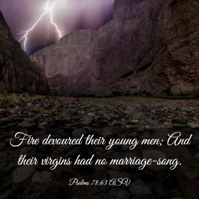 Picture 03 - Psalms 78:63 ASV - Fire devoured their young men; And their virgins - Bible Verse Picture