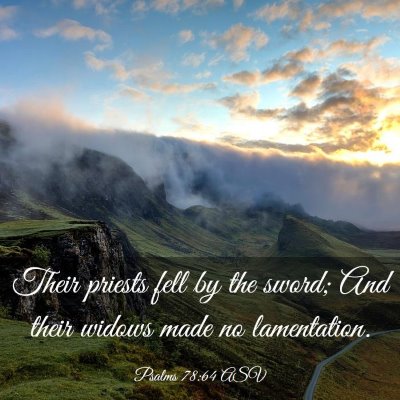Picture 03 - Psalms 78:64 ASV - Their priests fell by the sword; And their widows - Bible Verse Picture