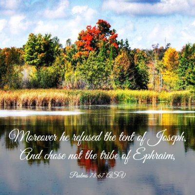 Picture 03 - Psalms 78:67 ASV - Moreover he refused the tent of Joseph, And chose - Bible Verse Picture