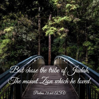 Picture 03 - Psalms 78:68 ASV - But chose the tribe of Judah, The mount Zion - Bible Verse Picture