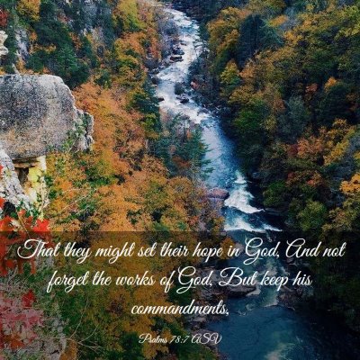 Picture 03 - Psalms 78:7 ASV - That they might set their hope in God, And not - Bible Verse Picture