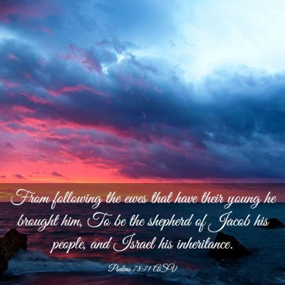 Picture 03 - Psalms 78:71 ASV - From following the ewes that have their young he - Bible Verse Picture