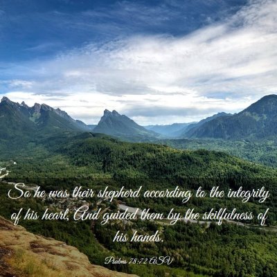 Picture 03 - Psalms 78:72 ASV - So he was their shepherd according to the - Bible Verse Picture