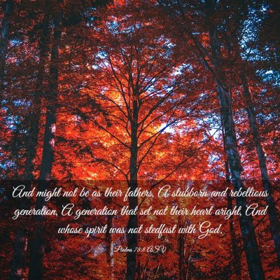 Picture 03 - Psalms 78:8 ASV - And might not be as their fathers, A stubborn and - Bible Verse Picture
