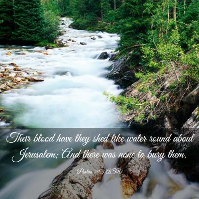 Picture 03 - Psalms 79:3 ASV - Their blood have they shed like water round about - Bible Verse Picture
