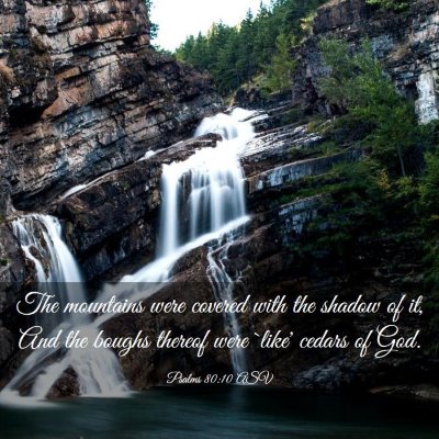 Picture 03 - Psalms 80:10 ASV - The mountains were covered with the shadow of it, - Bible Verse Picture