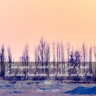 Picture 03 - Psalms 80:14 ASV - Turn again, we beseech thee, O God of hosts: Look - Bible Verse Picture