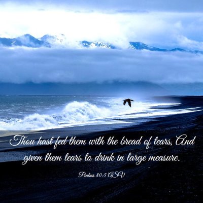 Picture 03 - Psalms 80:5 ASV - Thou hast fed them with the bread of tears, And - Bible Verse Picture