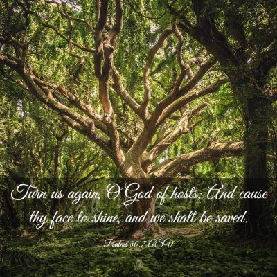 Picture 03 - Psalms 80:7 ASV - Turn us again, O God of hosts; And cause thy face - Bible Verse Picture
