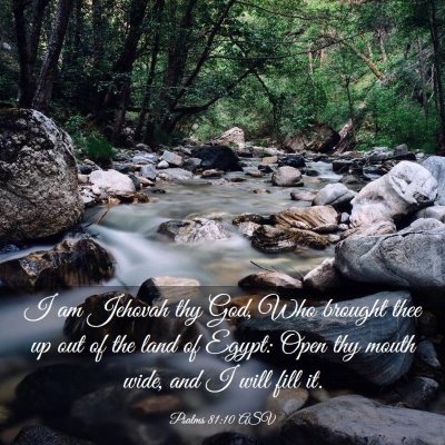 Picture 03 - Psalms 81:10 ASV - I am Jehovah thy God, Who brought thee up out of - Bible Verse Picture