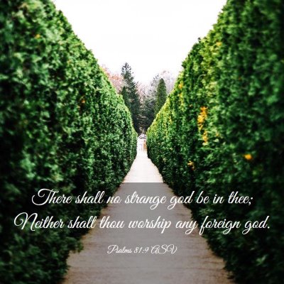 Picture 03 - Psalms 81:9 ASV - There shall no strange god be in thee; Neither - Bible Verse Picture