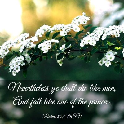 Picture 03 - Psalms 82:7 ASV - Nevertheless ye shall die like men, And fall like - Bible Verse Picture