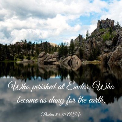 Picture 03 - Psalms 83:10 ASV - Who perished at Endor, Who became as dung for the - Bible Verse Picture