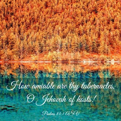 Picture 03 - Psalms 84:1 ASV - How amiable are thy tabernacles, O Jehovah of - Bible Verse Picture
