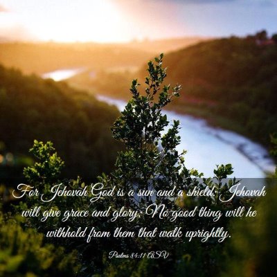 Picture 03 - Psalms 84:11 ASV - For Jehovah God is a sun and a shield: Jehovah - Bible Verse Picture