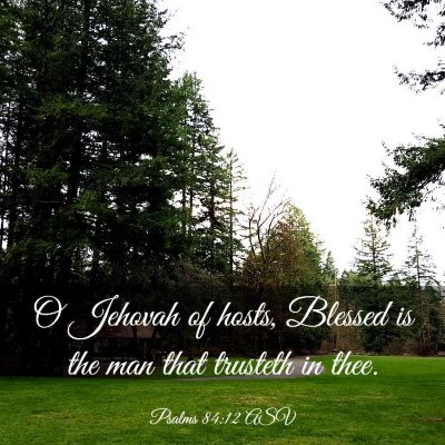 Picture 03 - Psalms 84:12 ASV - O Jehovah of hosts, Blessed is the man that - Bible Verse Picture