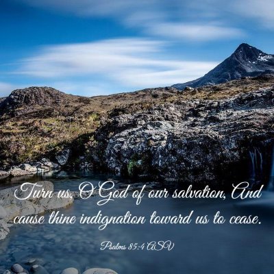 Picture 03 - Psalms 85:4 ASV - Turn us, O God of our salvation, And cause thine - Bible Verse Picture