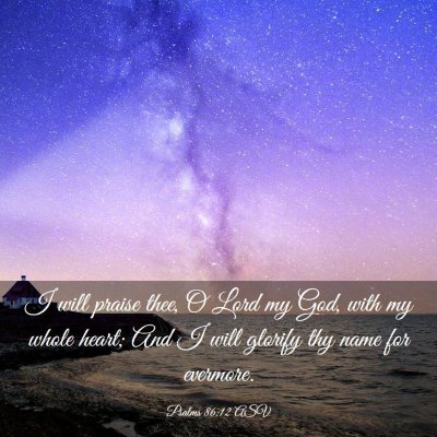 Picture 03 - Psalms 86:12 ASV - I will praise thee, O Lord my God, with my whole - Bible Verse Picture