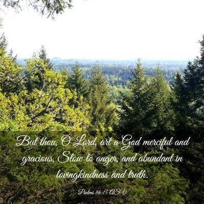 Picture 03 - Psalms 86:15 ASV - But thou, O Lord, art a God merciful and - Bible Verse Picture