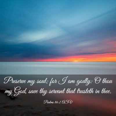 Picture 03 - Psalms 86:2 ASV - Preserve my soul; for I am godly: O thou my God, - Bible Verse Picture