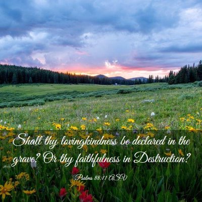 Picture 03 - Psalms 88:11 ASV - Shall thy lovingkindness be declared in the - Bible Verse Picture