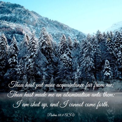 Picture 03 - Psalms 88:8 ASV - Thou hast put mine acquaintance far from me; Thou - Bible Verse Picture