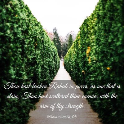 Picture 03 - Psalms 89:10 ASV - Thou hast broken Rahab in pieces, as one that is - Bible Verse Picture