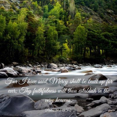 Picture 03 - Psalms 89:2 ASV - For I have said, Mercy shall be built up for - Bible Verse Picture