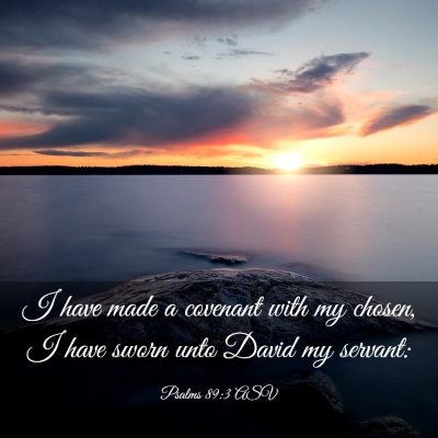 Picture 03 - Psalms 89:3 ASV - I have made a covenant with my chosen, I have - Bible Verse Picture