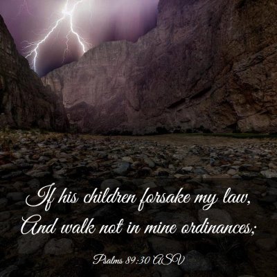 Picture 03 - Psalms 89:30 ASV - If his children forsake my law, And walk not in - Bible Verse Picture