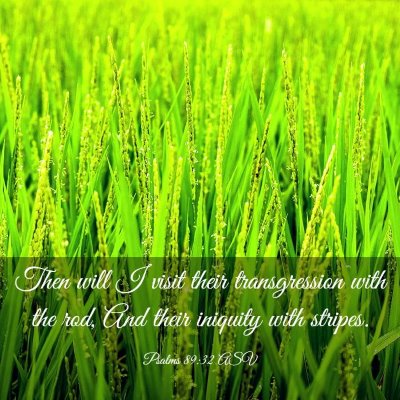 Picture 03 - Psalms 89:32 ASV - Then will I visit their transgression with the - Bible Verse Picture