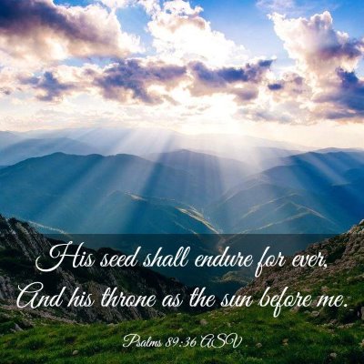 Picture 03 - Psalms 89:36 ASV - His seed shall endure for ever, And his throne as - Bible Verse Picture