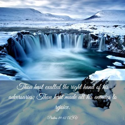 Picture 03 - Psalms 89:42 ASV - Thou hast exalted the right hand of his - Bible Verse Picture