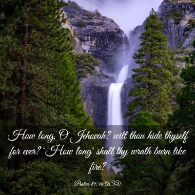Picture 03 - Psalms 89:46 ASV - How long, O Jehovah? wilt thou hide thyself for - Bible Verse Picture