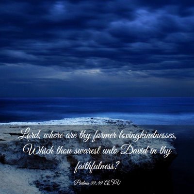 Picture 03 - Psalms 89:49 ASV - Lord, where are thy former lovingkindnesses, - Bible Verse Picture
