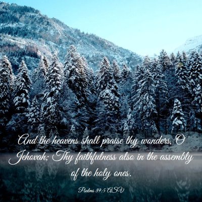 Picture 03 - Psalms 89:5 ASV - And the heavens shall praise thy wonders, O - Bible Verse Picture