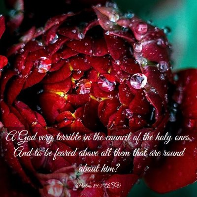 Picture 03 - Psalms 89:7 ASV - A God very terrible in the council of the holy - Bible Verse Picture