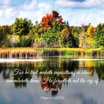 Picture 03 - Psalms 9:12 ASV - For he that maketh inquisition for blood - Bible Verse Picture