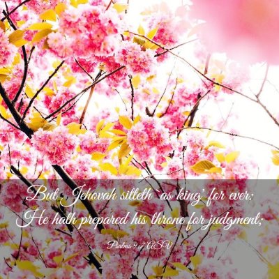 Picture 03 - Psalms 9:7 ASV - But Jehovah sitteth `as king' for ever: He hath - Bible Verse Picture