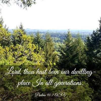 Picture 03 - Psalms 90:1 ASV - Lord, thou hast been our dwelling-place In all - Bible Verse Picture