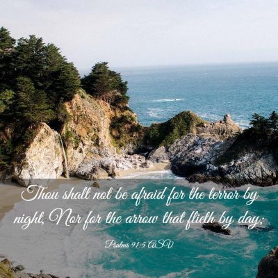 Picture 03 - Psalms 91:5 ASV - Thou shalt not be afraid for the terror by night, - Bible Verse Picture