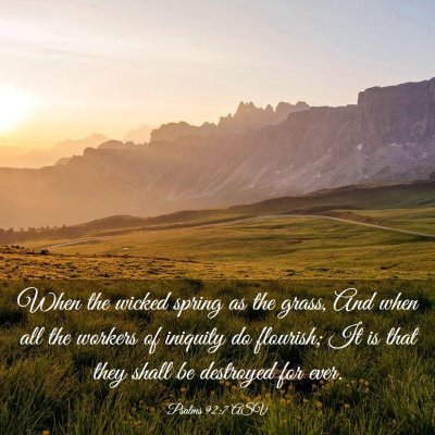 Picture 03 - Psalms 92:7 ASV - When the wicked spring as the grass, And when all - Bible Verse Picture