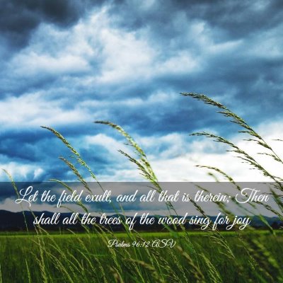 Picture 03 - Psalms 96:12 ASV - Let the field exult, and all that is therein; - Bible Verse Picture
